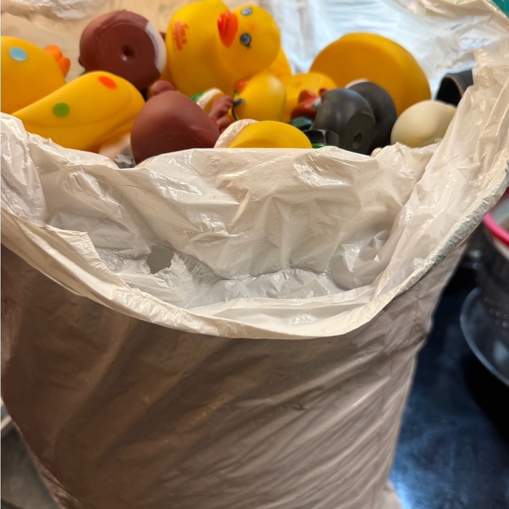 Colorful Rubber Duck Collection - Picture 10 of 10